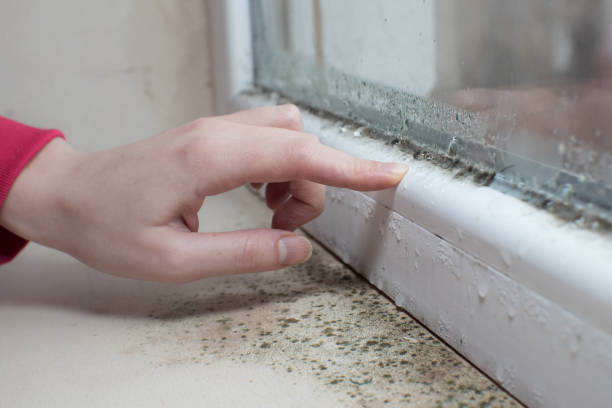 Best Forensic Mold Investigation  in Huber Ridge, OH