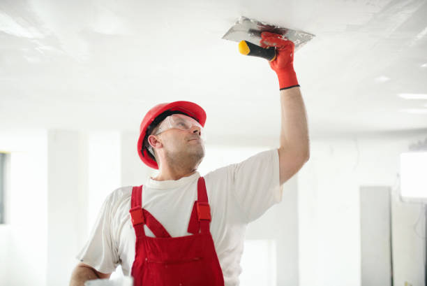 Best Dehumidification Services  in Huber Ridge, OH